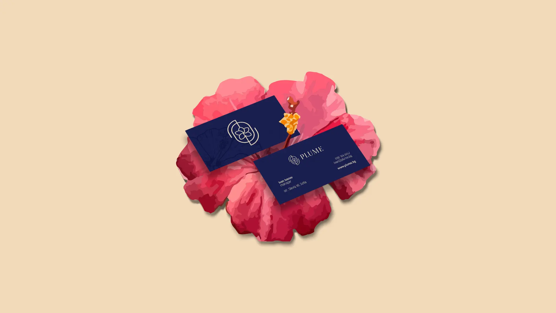 Two navy blue business cards, front and back, angled over a decorational pink-red illustrated hibiscus flower on a beige background.